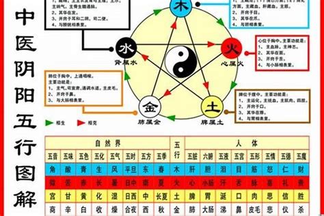 1984生肖五行|1984年属鼠是什么命，84年出生五行属什么